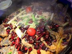 -老板恋上鱼(恒隆广场店)