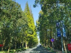 -河姆渡遗址博物馆