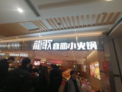 -龍歌自助小火锅(崂山丽达店)