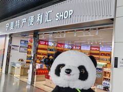 -银川河东国际机场