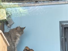 -青藏高原野生动物园