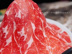 -禄婶鸡煲·打边炉