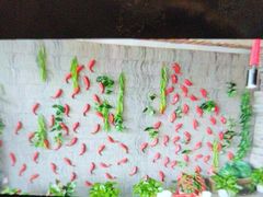 -小龙坎老火锅(北京三里屯店)