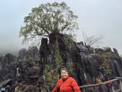 -玉石林风景区