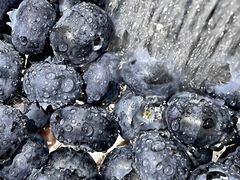 -5Cake五度无蔗糖低脂蛋糕(陶然亭店)