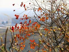 -艾山风景名胜区