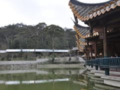-飞凤山奥体公园