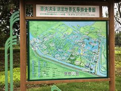 -泗洪洪泽湖湿地景区