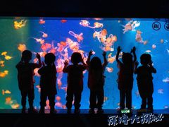 -全优加早教托育园(金海岸店)