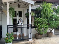 -TrueLove @ Neverland (Husky Cafe)