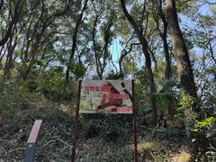 -苏州上方山国家森林公园