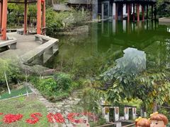 -广州神农草堂中医药博物馆