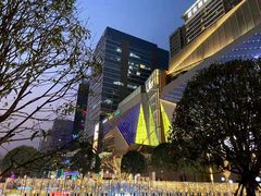 -合景·悠方(成都店)