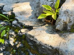 -十渡孤山寨风景区