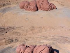 -金塔沙漠胡杨林景区