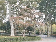 -中山公园