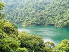 -鼎湖山风景区