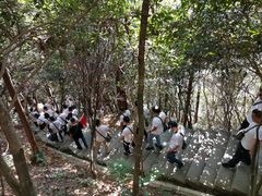 -井冈山革命烈士陵园