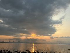-深圳湾公园(南山区)