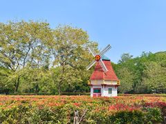 -东莞植物园