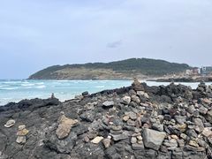 -涉地可支