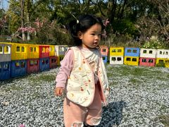 -金鸡湖桃花岛