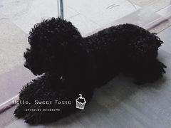 -蜜蜂小象·榴莲千层蛋糕(时代汇11栋店)