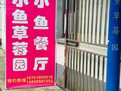 -小鱼草莓采摘园农家乐·小鱼餐厅