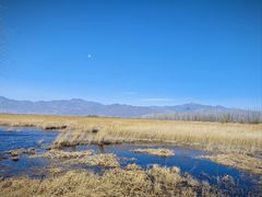 -野鸭湖国家湿地公园