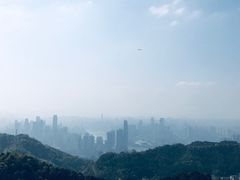 -大金鹰园