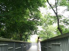 -白马涧龙池景区
