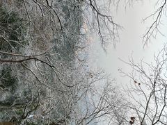 -灵顺寺
