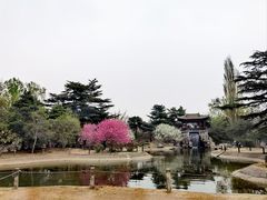 -国家植物园南园