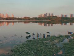 -尚贤河湿地