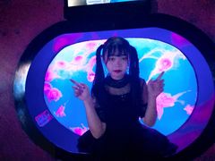 -烟台海昌鲸鲨海洋公园