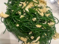 -靖远尕六美味羊羔肉