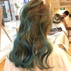 -涩谷· Hair Salon