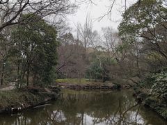 -秋霞圃