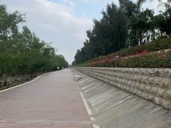 -宝安西湾红树林湿地公园