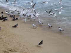 -海云台海滩