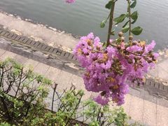 -团城山公园