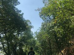 -石燕湖生态旅游景区