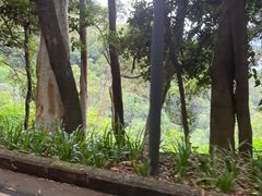 -白云山风景名胜区