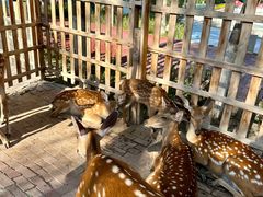 -水上乐园·欢乐世界