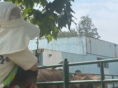 -秦皇岛野生动物园