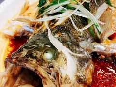 清蒸鲈鱼-紫光园·烤鸭·北京菜(劲松店)