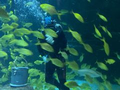 -成都浩海立方海洋公园