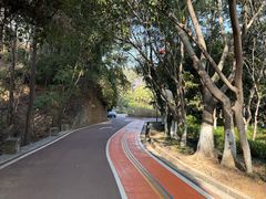 -攀枝花公园