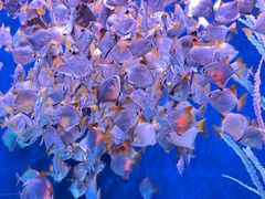 -沈阳海洋探索中心