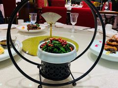 -天福苑(崇宁路店)
